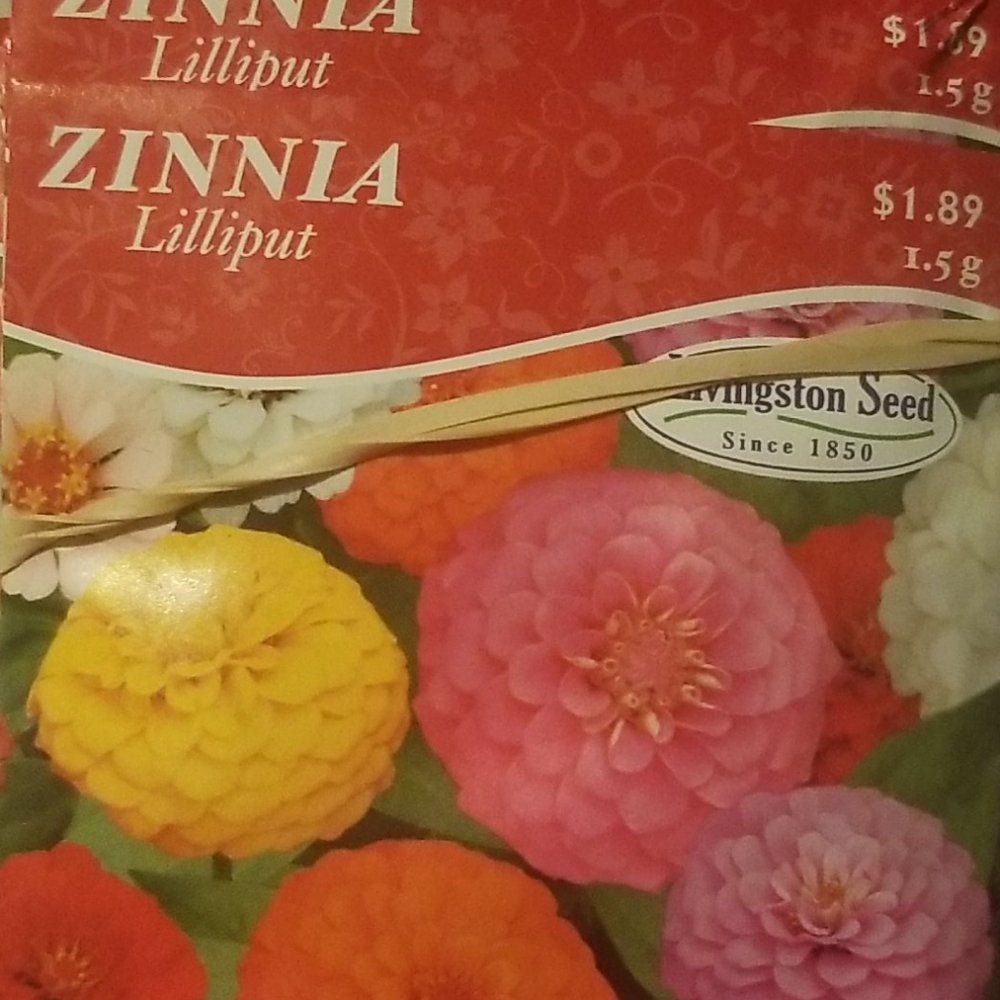 ๐ผ ๐๐ฅ๐๐ Flower pkg w/ purchase๐ฆ๐ - Picture 8 of 16